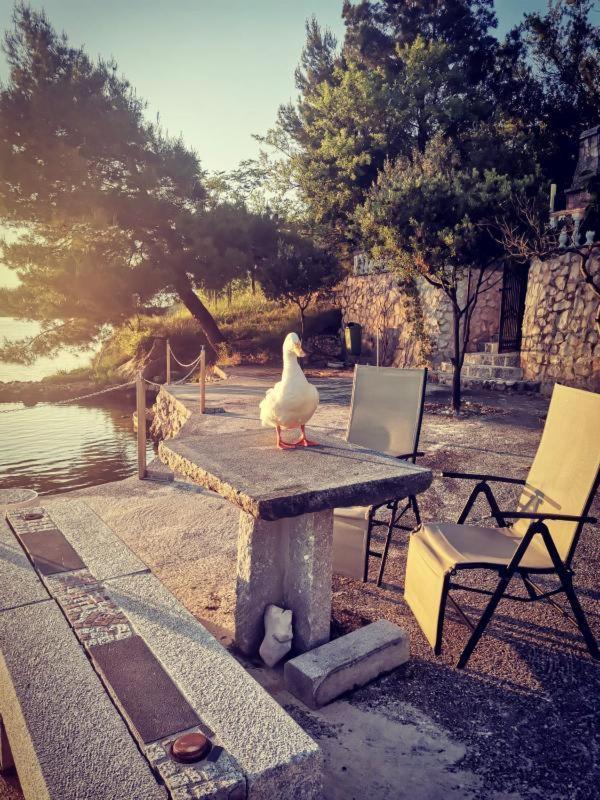 Kamenito Kruševo Exterior foto